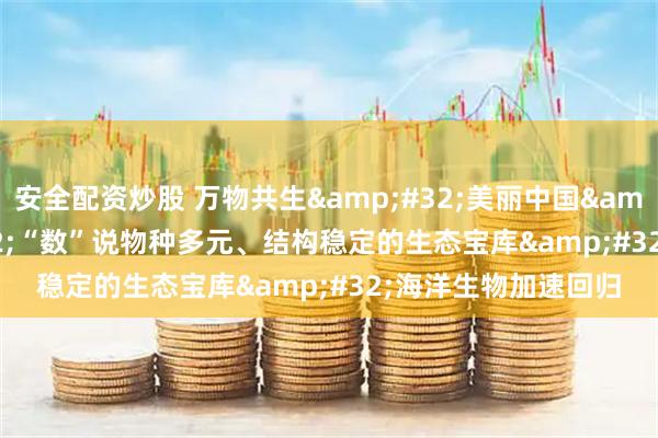 安全配资炒股 万物共生 美丽中国 | “数”说物种多元、结构稳定的生态宝库 海洋生物加速回归