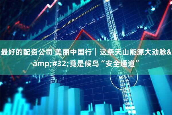 最好的配资公司 美丽中国行｜这条天山能源大动脉 竟是候鸟“安全通道”